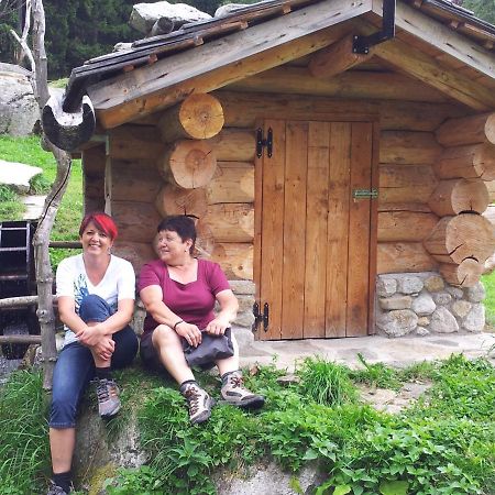 Stuebilerhof Apartment Ahrntal ภายนอก รูปภาพ