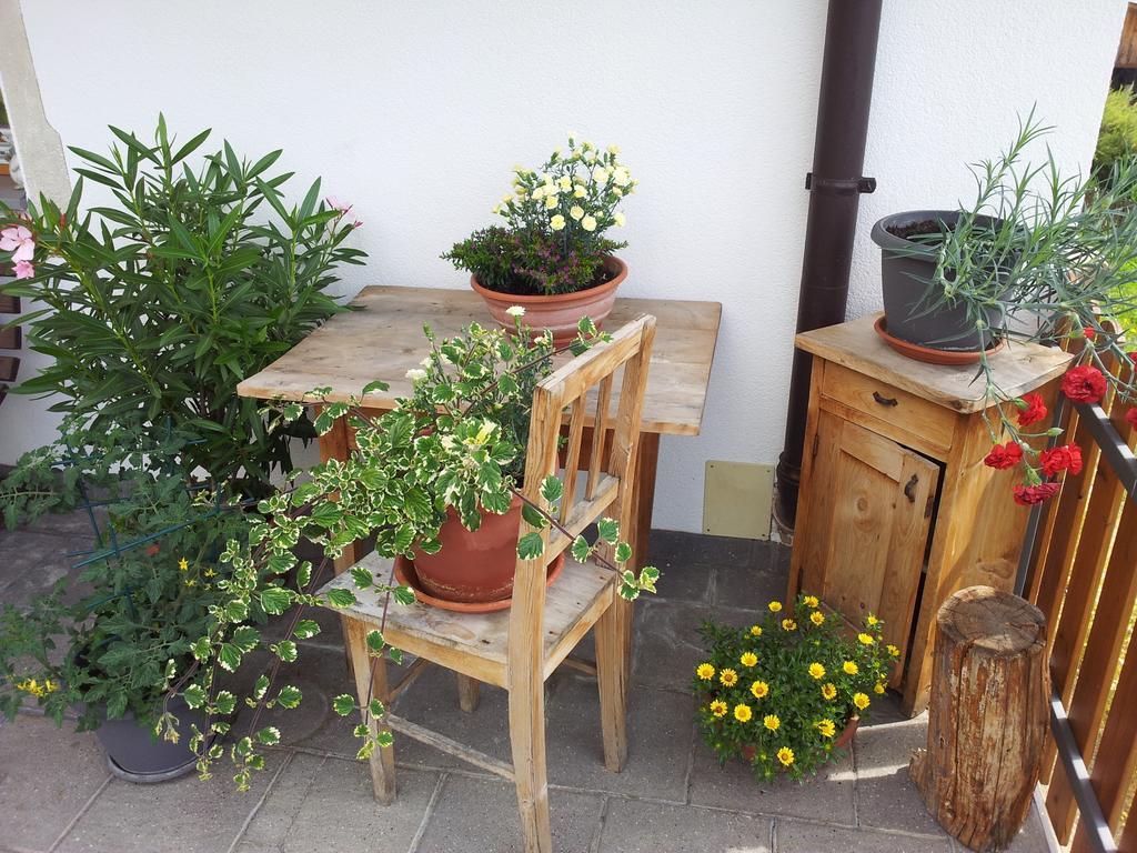 Stuebilerhof Apartment Ahrntal ห้อง รูปภาพ