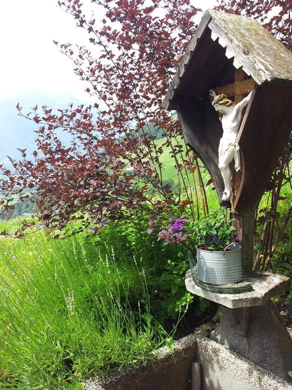Stuebilerhof Apartment Ahrntal ภายนอก รูปภาพ